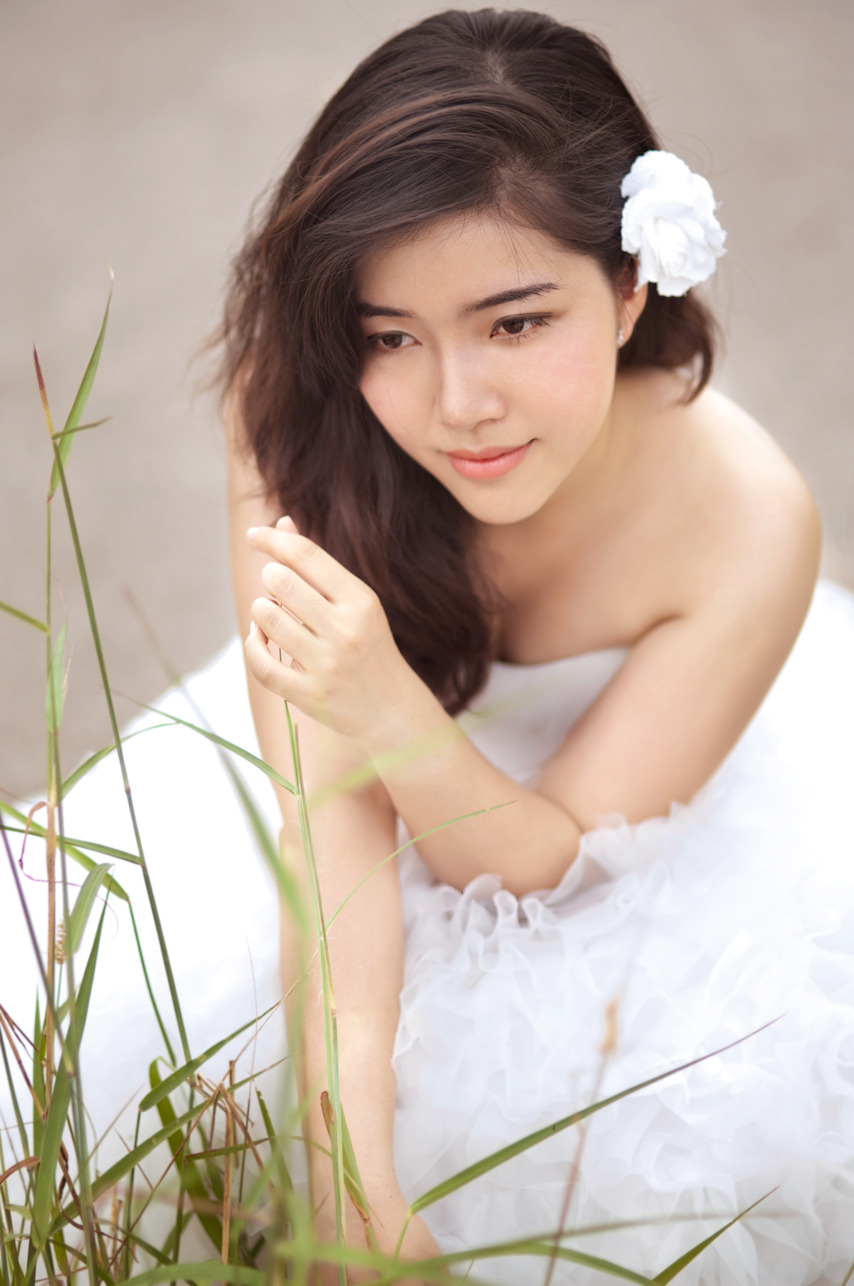 李宗瑞全集在线